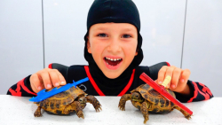 ولاد و نیکیتا  ماجراهای ولاد و...