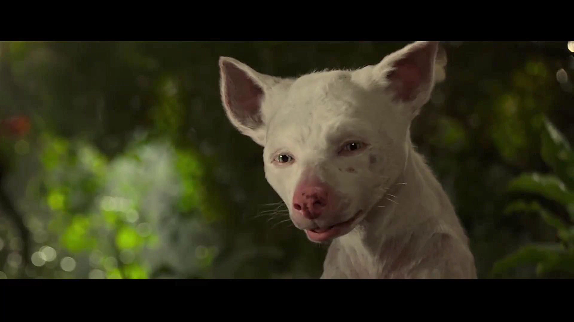 انیمیشن موگلی: افسانه جنگل Mowgli Legend of the Jungle زمان6264ثانیه
