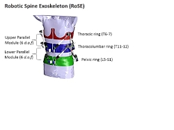 اسکلت بیرونی RoSE و ناهمواری س...
