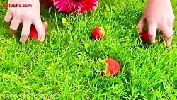 برنامه کودک کتی این قسمت بستنی...