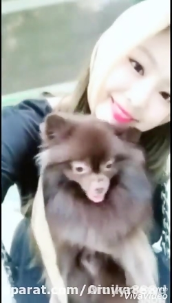 ❤کویین جنی و ماکو❤فالو♡ ♡فالو...