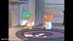 کارتون تام و جری ( موش و گربه...