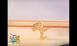 کارتون تام و جری تام و جری