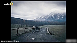 فیلم سینمایی خیار شور آمریکایی