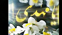 کلیپ عاشقانه امام زمان ❤