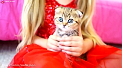 دیانا و روما  بازی دیانا و روم...