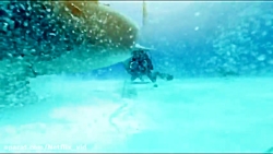 چگونه میتوان وی آر باکس مقوایی...