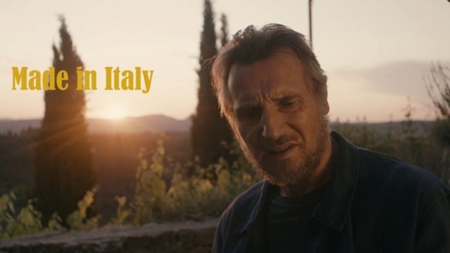 فیلم سینمایی ساخت ایتالیا Made in Italy 2020 با زیرنویس فارسی زمان5270ثانیه