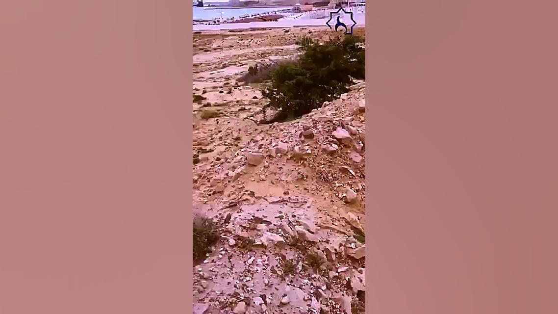 پوستر بزرگ