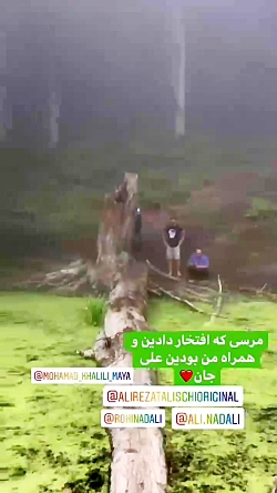 علیرضا طلیسچی در دل طبیعت
