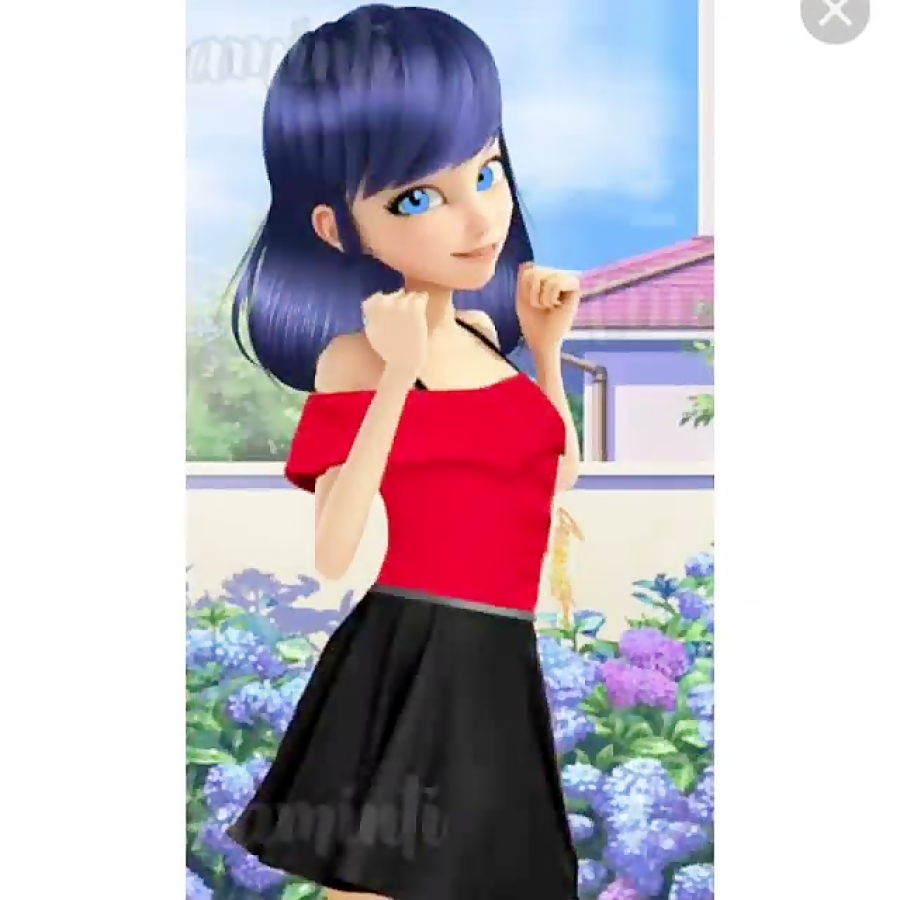 میکس مرینت و آدرین