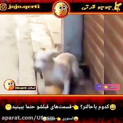 کرم ریزی حیوانات