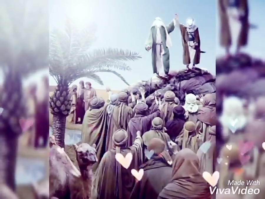 316 زینب جعفری  جشنواره پر جای...