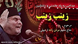 مداحی سلیم موذن زاده - زینب زی...