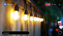 سید مجید بنی فاطمه (الهی که چر...