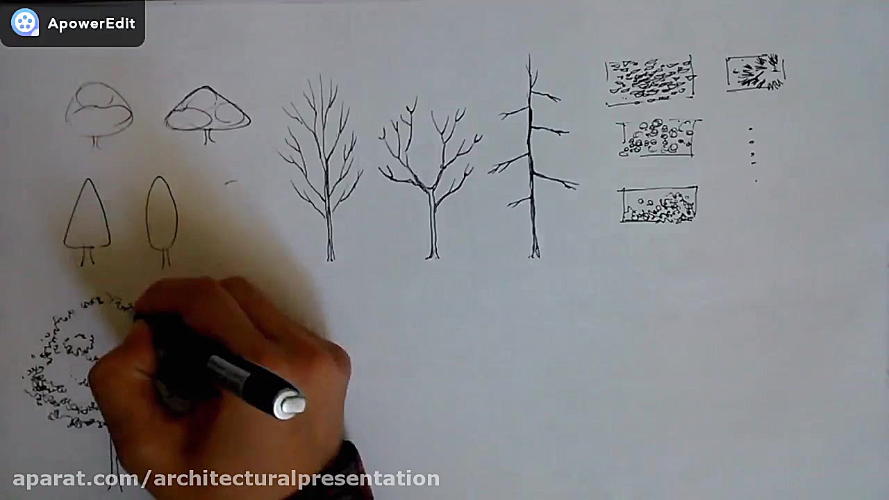 راندو درخت آکنه
