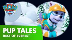 کارتون سگهای نگهبان :: عملیات...