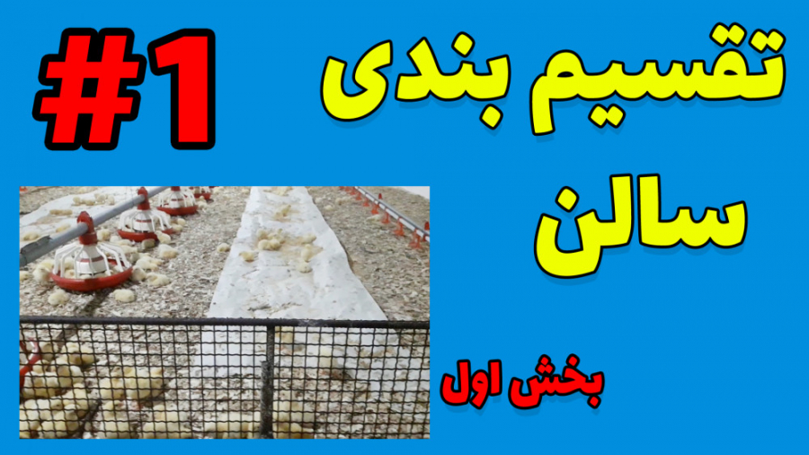 مزایای تقسیم‌بندی (پن بندی) سالن پرورش مرغ گوشتی - بخش اول دکتر محمد مهدی عبدالهی (دامپزشک)