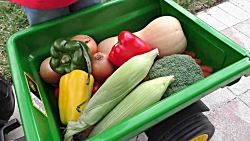 ماجراهای دیانا و روما - داستان...