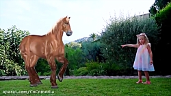 ناستیا استیسی :: ناستیا برای ا...