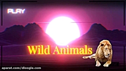 شیر در برابر ببر  جنگ و نبرد خ...