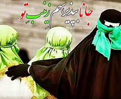 نوحه بسیار دلنشین و زیبا / جان...