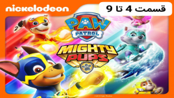 مجموعه ی جذاب و دیدنی سگهای نگ...