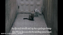 we are chaos ما درگیری و هرج و...