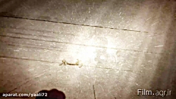 نماهنگ زیبای ببار ای بارون مدا...