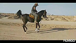 آرسس میبد  مالک : یاسر کشمیری...