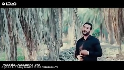 نوحه عربی علی قاسم انا زینب مح...
