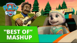 بهترین سری انیمیشن سگهای نگهبا...