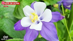 مقایسه دوربین آیفون11 پرو مکس...