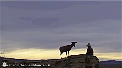 مستند فارسی  « لمس حیات »