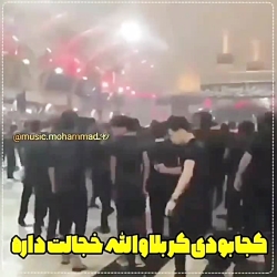 نماهنگ زیبا امان از دل زینب چه...