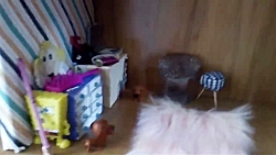 خونه ی باربی