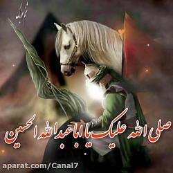 شام غریبان امام حسین کلیپ ویژه...