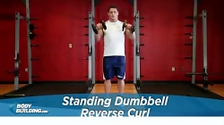 اموزش بدن سازی (جلو بازو دمبل...