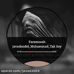 آهنگ جدید جواد نودل به نام فرا...