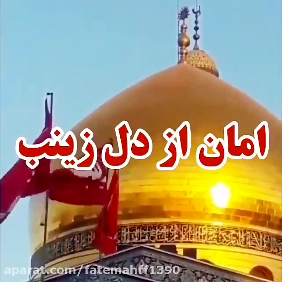 امان از دل زینب