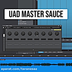 Whole Loops UAD Master Sauce