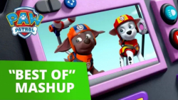 بهترین سری انیمیشن سگهای نگهبا...