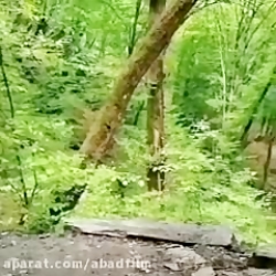 کلیپ فوق العاده حال خوب در دل...