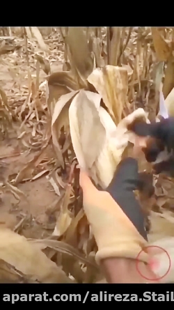 ابزار کاربردی برای کشاورزی