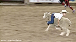 مسابقات گوسفند سواری کودکان در آمریکا