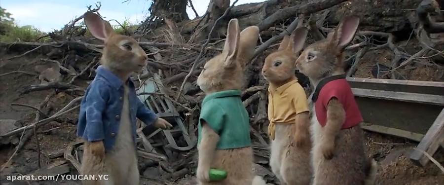 انیمیشن پیتر خرگوشه: نبرد خرگوش ها Peter Rabbit با دوبله فارسی زمان5682ثانیه