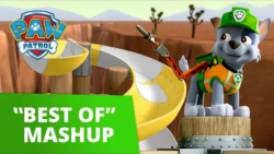 بهترین سری انیمیشن سگهای نگهبا...