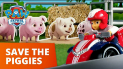 انیمیشن سگهای نگهبان : سری اسب...