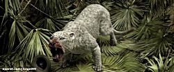 پریمال  Primal 2019 (دوبله فار...