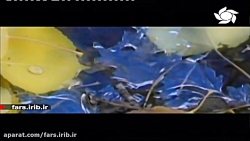 ترانه زیبای " چنگ و نای " با ص...